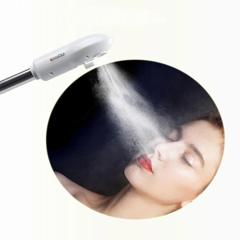 High Quality 2 in 1 Ozone Facial Steamer Dense Sprayer Beauty Salons Face Sauna Hot Sprayer